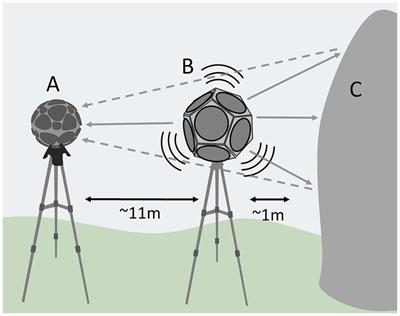 Acoustic perception and emotion evocation by rock art soundscapes of Altai (Russia)